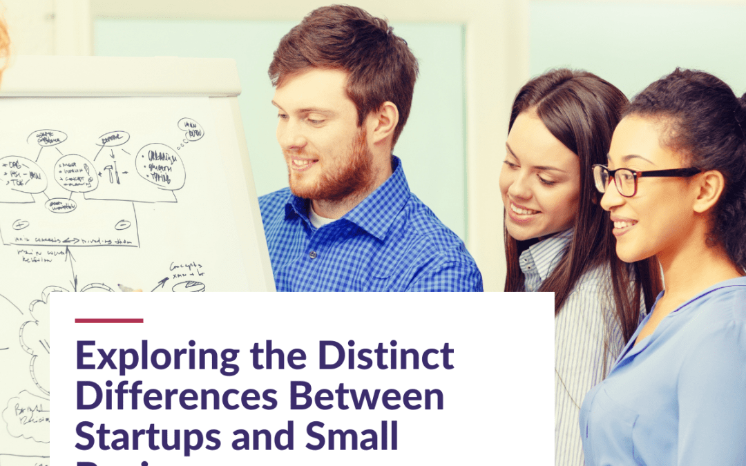 Exploring the Distinct Differences Between Startups and Small Businesses