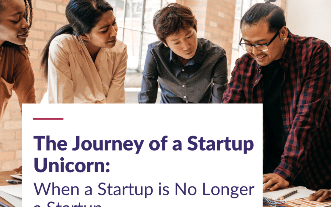 The Journey of a Startup Unicorn